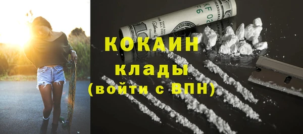крисы Алзамай