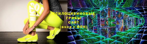 ГАЛЛЮЦИНОГЕННЫЕ ГРИБЫ Алексеевка