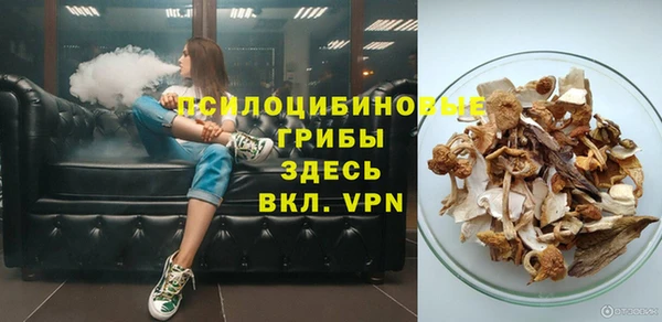 крисы Алзамай
