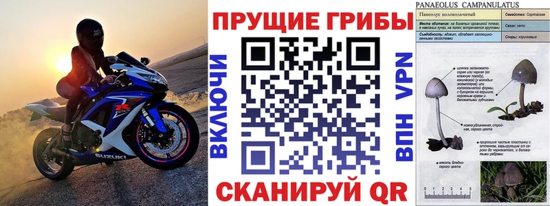 Псилоцибиновые грибы прущие грибы Зверево